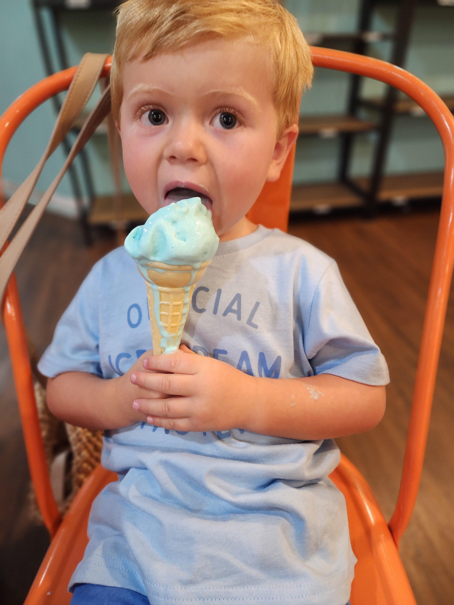 Official Ice Cream Taster, natural